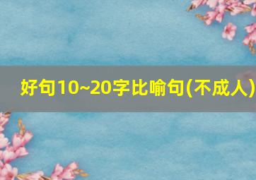 好句10~20字比喻句(不成人)