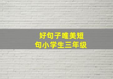 好句子唯美短句小学生三年级