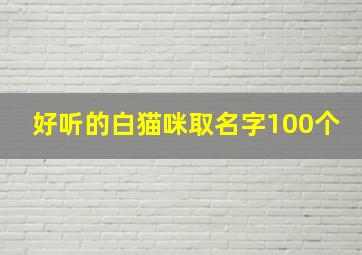 好听的白猫咪取名字100个