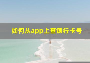 如何从app上查银行卡号