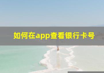 如何在app查看银行卡号