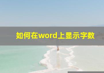 如何在word上显示字数