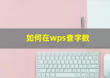 如何在wps查字数