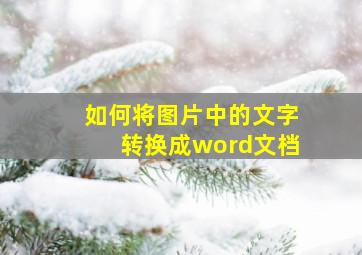 如何将图片中的文字转换成word文档