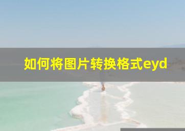 如何将图片转换格式eyd