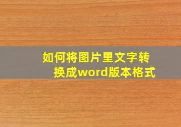 如何将图片里文字转换成word版本格式