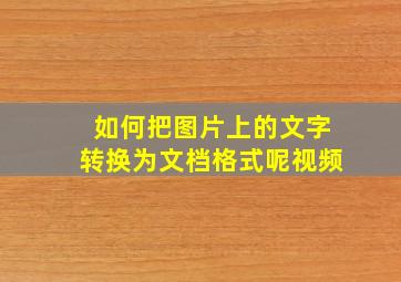 如何把图片上的文字转换为文档格式呢视频