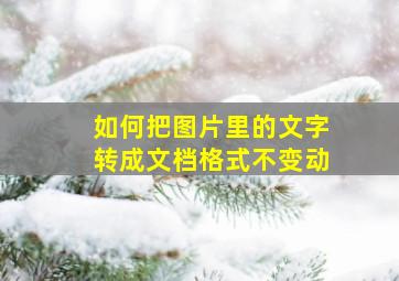 如何把图片里的文字转成文档格式不变动