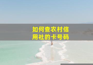 如何查农村信用社的卡号码