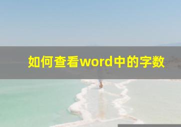 如何查看word中的字数