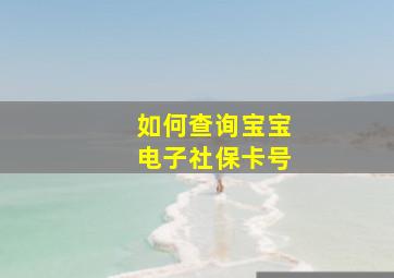 如何查询宝宝电子社保卡号