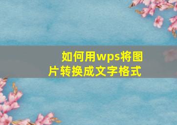 如何用wps将图片转换成文字格式