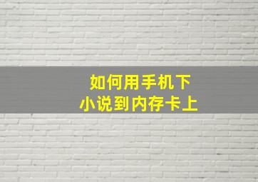 如何用手机下小说到内存卡上