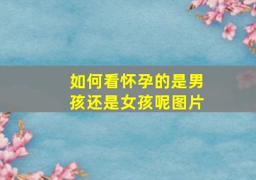 如何看怀孕的是男孩还是女孩呢图片