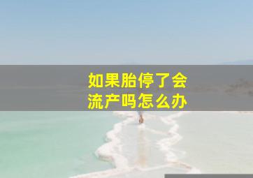 如果胎停了会流产吗怎么办