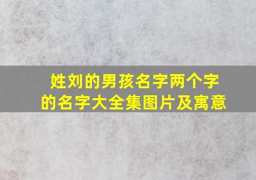 姓刘的男孩名字两个字的名字大全集图片及寓意