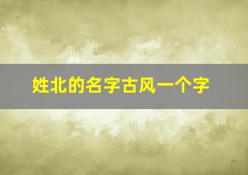 姓北的名字古风一个字