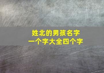 姓北的男孩名字一个字大全四个字