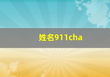 姓名911cha