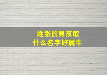 姓张的男孩取什么名字好属牛