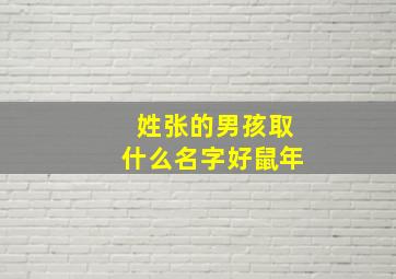 姓张的男孩取什么名字好鼠年