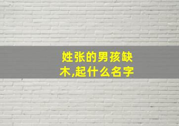 姓张的男孩缺木,起什么名字