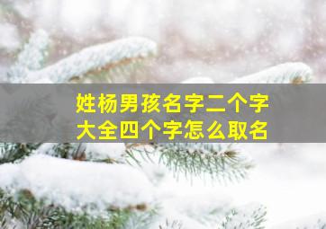 姓杨男孩名字二个字大全四个字怎么取名