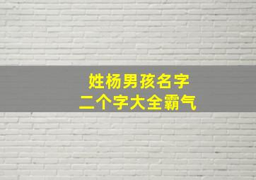 姓杨男孩名字二个字大全霸气