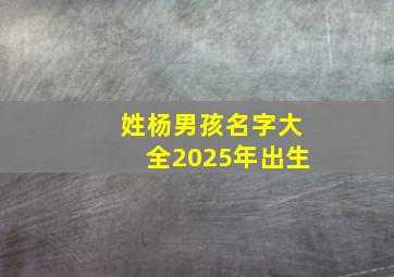 姓杨男孩名字大全2025年出生