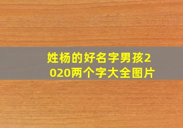 姓杨的好名字男孩2020两个字大全图片