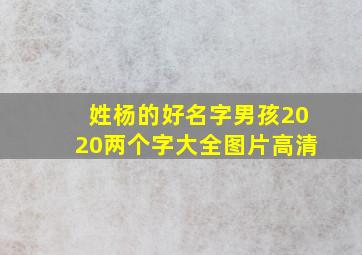 姓杨的好名字男孩2020两个字大全图片高清