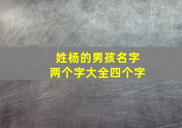 姓杨的男孩名字两个字大全四个字