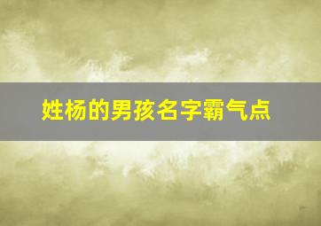 姓杨的男孩名字霸气点