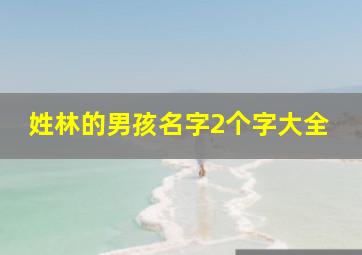 姓林的男孩名字2个字大全