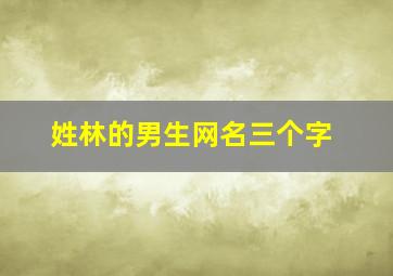 姓林的男生网名三个字