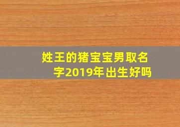 姓王的猪宝宝男取名字2019年出生好吗