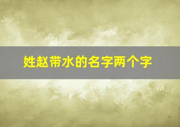 姓赵带水的名字两个字