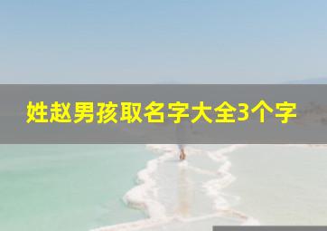 姓赵男孩取名字大全3个字