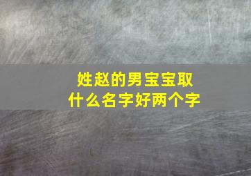 姓赵的男宝宝取什么名字好两个字