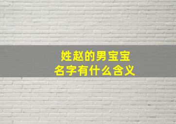 姓赵的男宝宝名字有什么含义