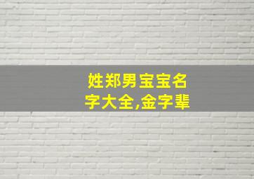 姓郑男宝宝名字大全,金字辈