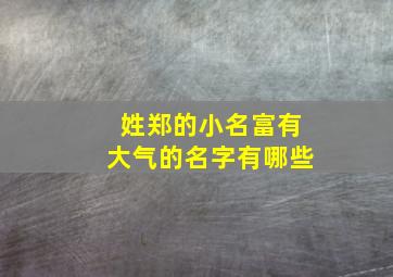 姓郑的小名富有大气的名字有哪些