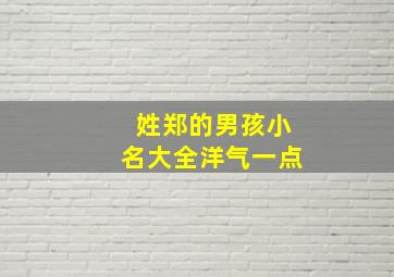 姓郑的男孩小名大全洋气一点