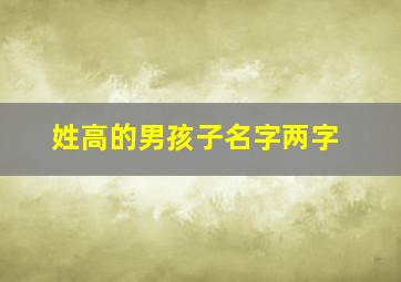 姓高的男孩子名字两字