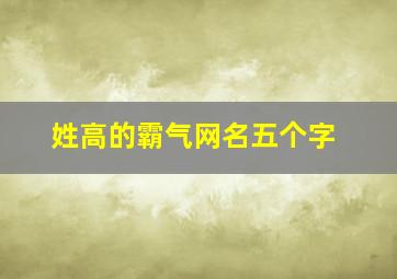 姓高的霸气网名五个字