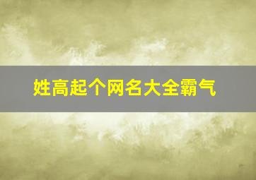 姓高起个网名大全霸气