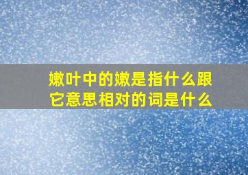 嫩叶中的嫩是指什么跟它意思相对的词是什么