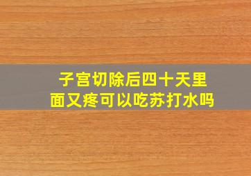 子宫切除后四十天里面又疼可以吃苏打水吗