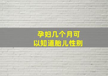 孕妇几个月可以知道胎儿性别