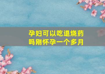 孕妇可以吃退烧药吗刚怀孕一个多月